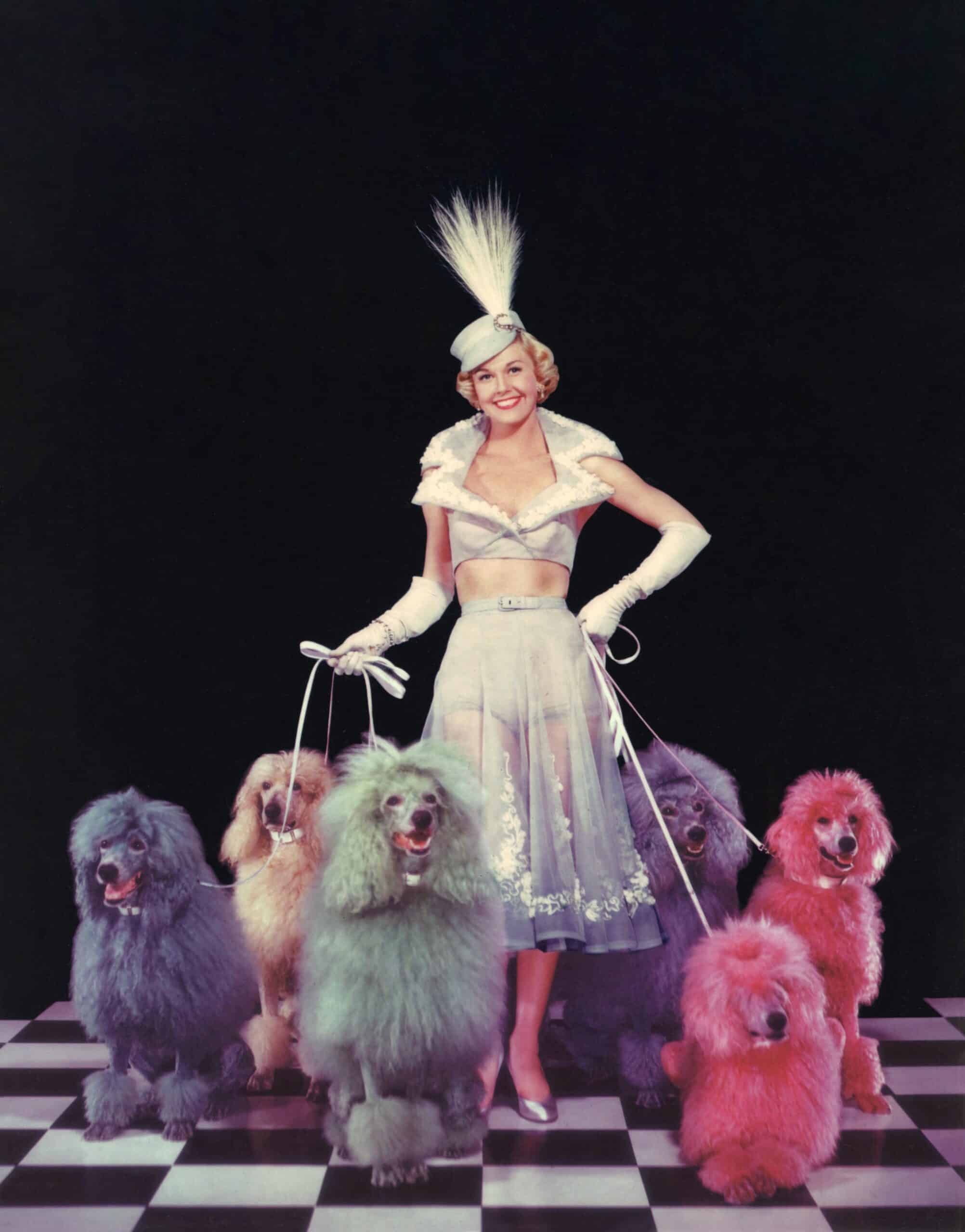 Femme élégante des années 1950 entourée de caniches teints en pastel sur un sol en damier