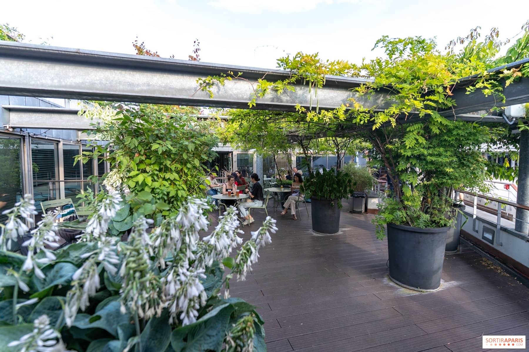 Terrasse en bois du rooftop Han bordée de glycine et de plantes, quelques tablées attablées