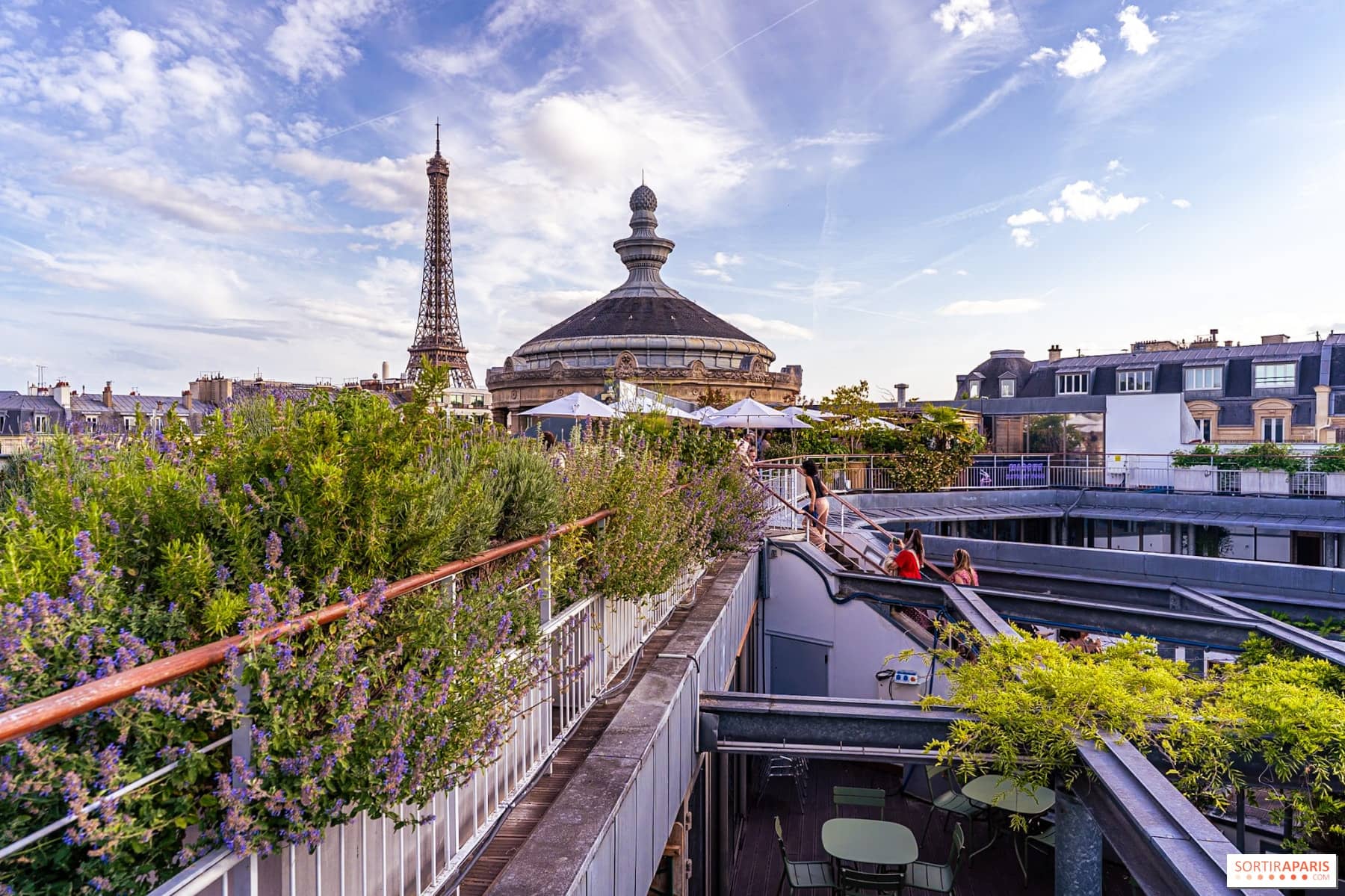 Rooftop végétalisé du musée Guimet avec vue sur la tour Eiffel et un dôme parisien au coucher du soleil