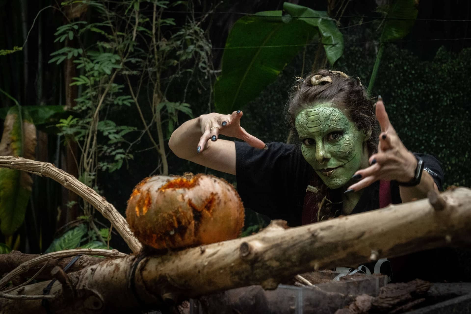 Journée Frissons: Halloween at the Paris zoo, with witches, pumpkins and vultures, Parc zoologique de Paris (photo 3)