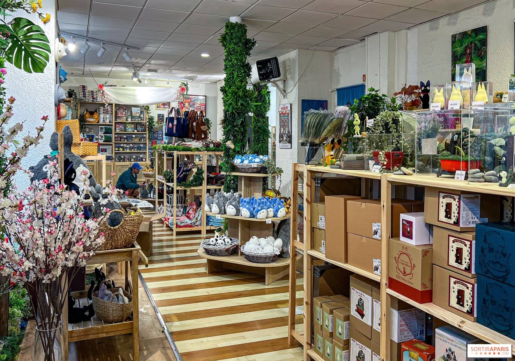 Allée bordée d'étagères en bois clair et de plantes dans la boutique éphémère Maison Ghibli à Paris