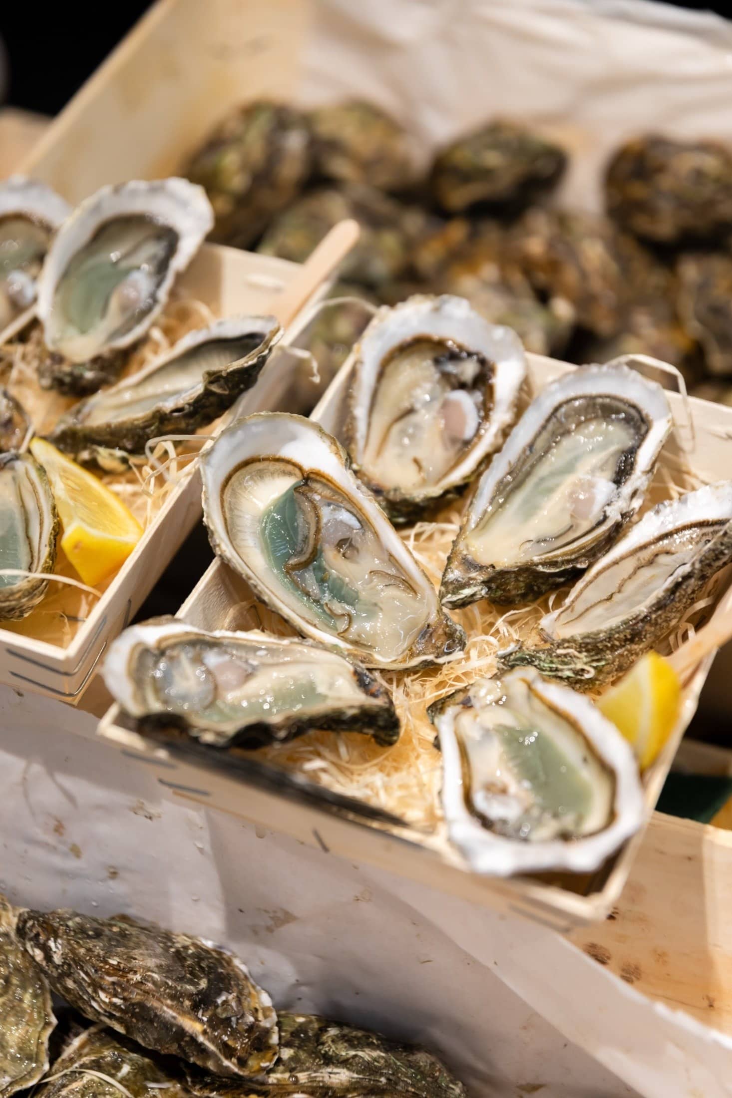 Huîtres ouvertes dans leurs bourriches en bois sur le stand d'un producteur du Salon du BON