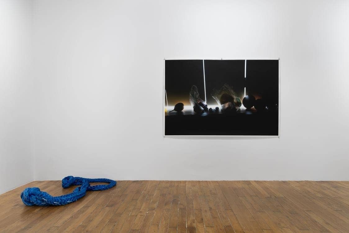Wolfgang Tillmans, Glade / Clairière: giant prints and ship ropes at Chantal Crousel, Galerie Chantal Crousel (photo 3)