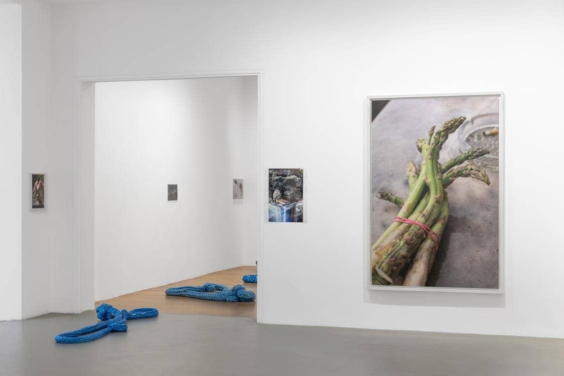 Tirage géant d'une botte d'asperges de Wolfgang Tillmans et cordages bleus au sol, galerie Chantal Crousel