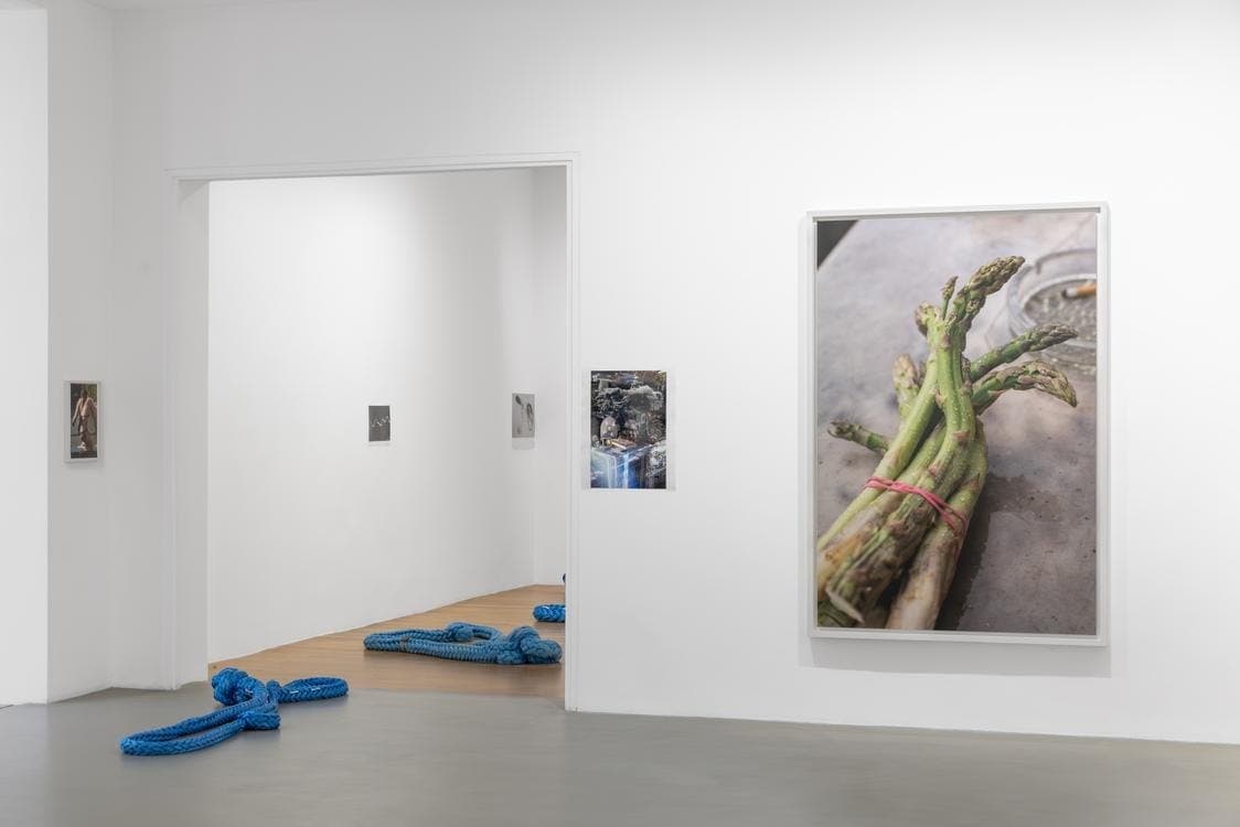 Tirage géant d'une botte d'asperges de Wolfgang Tillmans et cordages bleus au sol, galerie Chantal Crousel