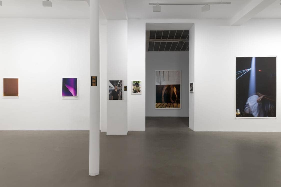 Wolfgang Tillmans, Glade / Clairière: giant prints and ship ropes at Chantal Crousel, Galerie Chantal Crousel (photo 2)